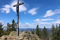 20200427-rachel-sandra_schroenghammer-1-scaled