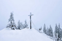 20210116-rachel-winter-schnee-sandra_schroenghammer-1-scaled