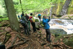 DCIM100GOPROGOPR2386.JPG